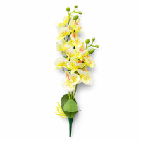 Orkide 2'li Yapraklı